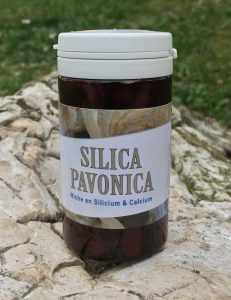 Silica Pavonica face