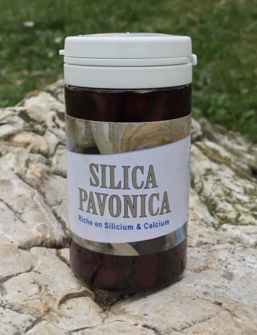 Silica Pavonica face